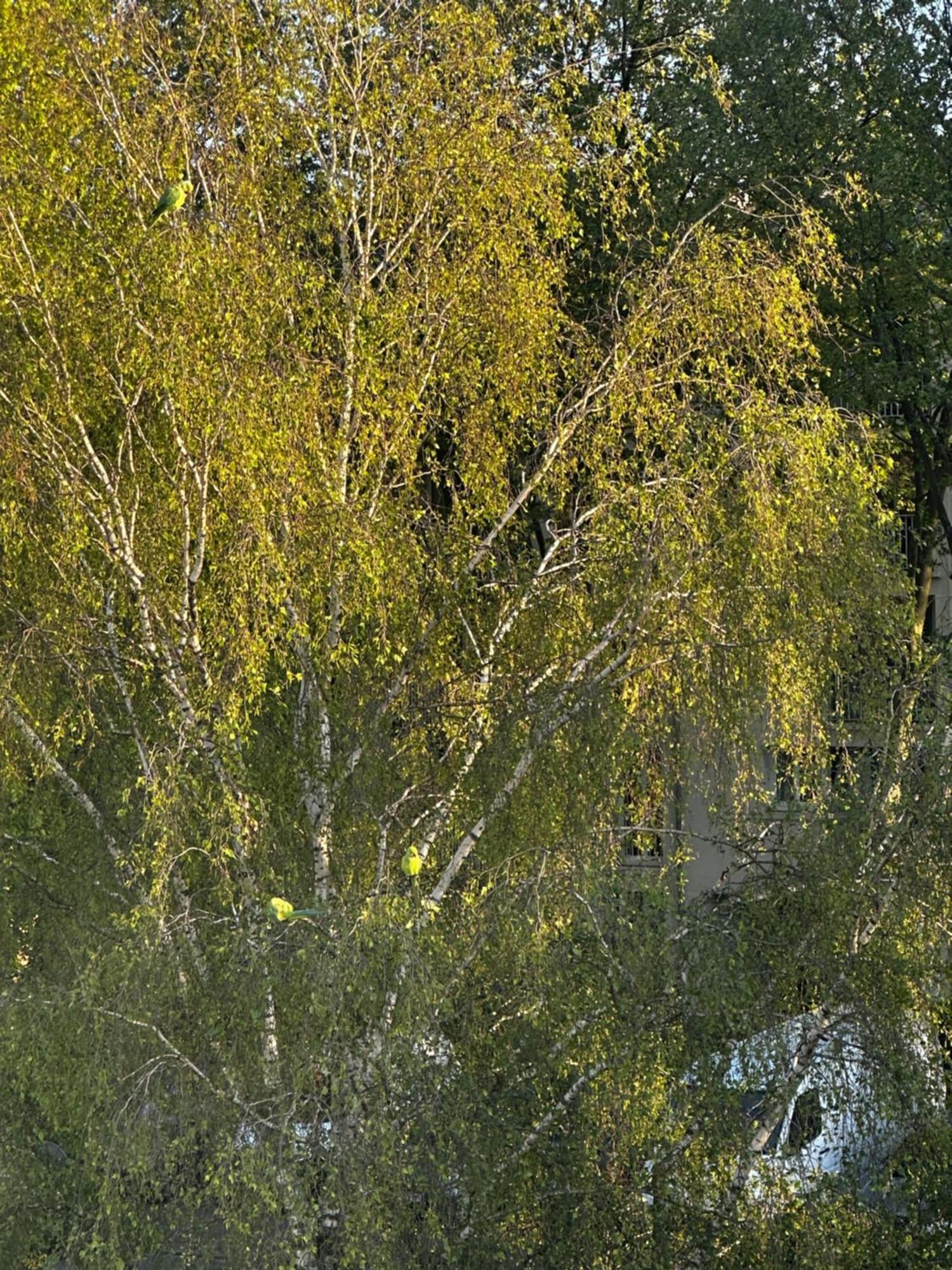 Joli, Spacieux, Lumineux Proche Paris Et Orly Villejuif Bagian luar foto